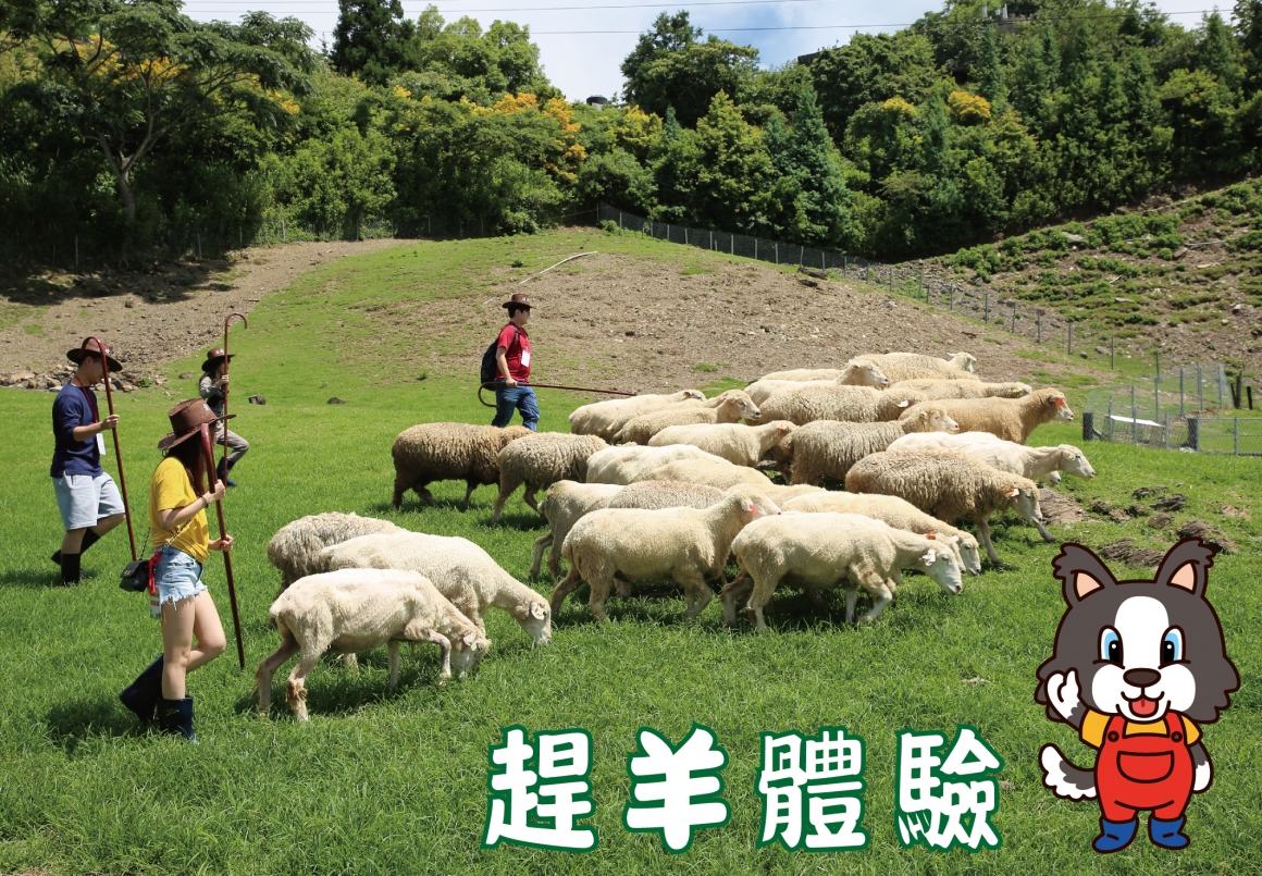 牧羊人體驗活動-清境農場官方網站